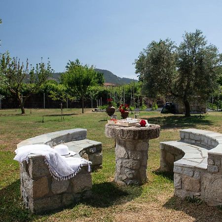 Villa Tsitreli シキア エクステリア 写真