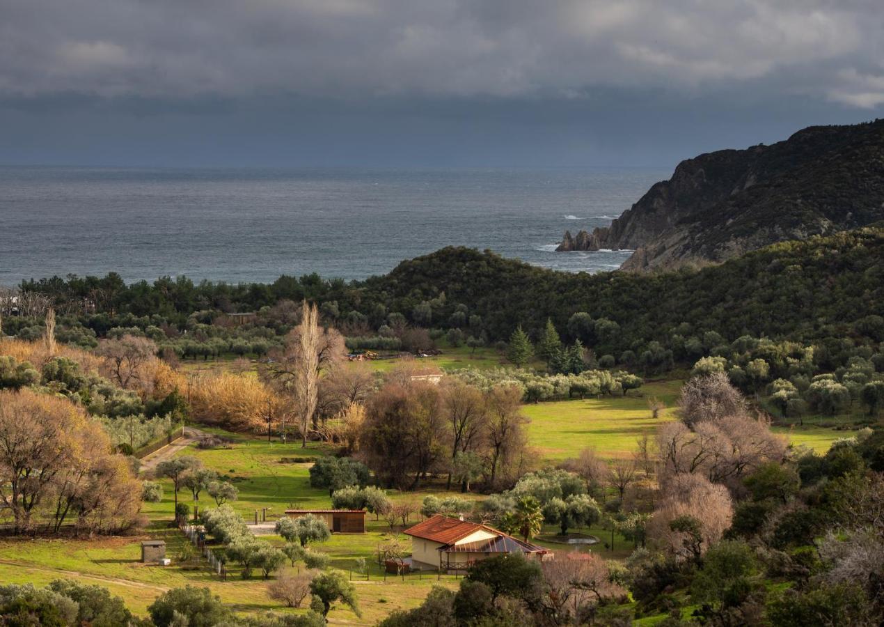 Villa Tsitreli シキア エクステリア 写真
